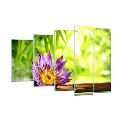Produktbild von Bilder auf glas - Asien spa bambus blume - 150x100cm - Glasbilder - Wandbilder - Kunstdruck - zum Aufhängen bereit - Wanddekoration aus Glas - Glas Bilder - Wandbild auf Glas - GEG150x100-2476
