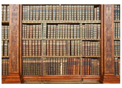 Zdjęcie produktu dla Fototapeta ścienna - Biblioteka 375x250cm - tapeta flizelinowa