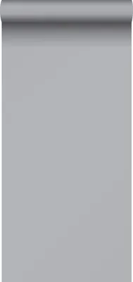 Obrázek produktu pro Sanders & Sanders tapeta hladká stříbrná 53 cm x 10,05 m