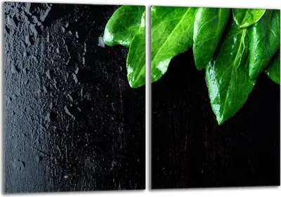 Produktbild von Herdabdeckplatten Set 2x40x52 cm Glaskeramikkochfeld Abdeckung Glas Spritzschutz, Basilikum Laub