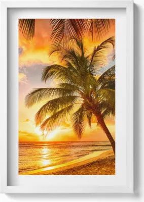 Produktbild von Palme am Strand bei Sonnenuntergang– Wandbild mit Rahmen – Gerahmtes Bild  – Wanddekoration – 40x60 cm – Weiß