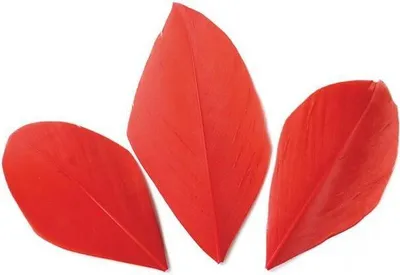 Obrázok produktu pre 50 rezaných pierok - červené 60 mm