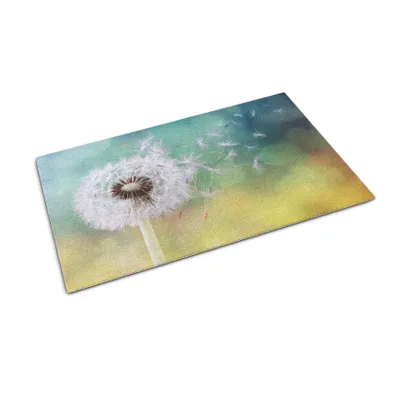 Imagen del producto de Alfombrilla para la puerta - Tapete para atrapar la suciedad - Alfombrilla antideslizante para interior y exterior - 60x40 cm - Dmychadlo (marca)