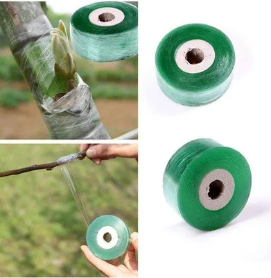 Productafbeelding van Tuinband - 25 mm breed - Zelfklevend - 100 meter lang - Plantband voor 5 stuks