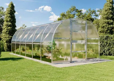 Produktbild von Terrando Gewächshaus Estragon 3x6m Gewächshaus aus Metall in Silber, Anzuchthaus mit 4 mm Wandstärke Treibhaus