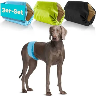 Produktbild von HUND IST KÖNIG® Hundewindeln für Rüden [3 Stk] | XL (Taille 59-65 cm)