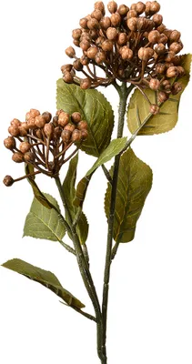 Produktbild von Clayre & Eef Kunstblume 53 cm Braun Kunststoff