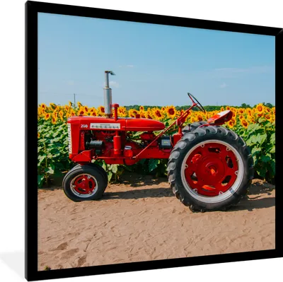 Produktbild von MuchoWow® Gerahmtes Poster Traktor - Rot - Sonnenblume - Bauernhof - Blumen 40x40 cm - Poster mit Schwarzem Bilderrahmen Wandposter Rahmen Foto Bilder - Mit Rahmen - Wanddekoration Schlafzimmer