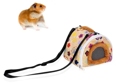 Produktbild von Transportbox für kleine Tiere wie Meerschweinchen und Hamster