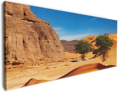 Produktbild von Wallario Premium Leinwandbild In der Wüste Sahara in Größe 60 x 150 cm