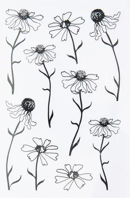 Produktbild von Transfermotive "In the Meadow" Blumen