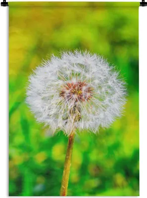 Produktbild von MuchoWow® Wandteppich Wandbehang Löwenzahn - Gras - Blume 90x135 cm Tapisserie Dekoration Wandtuch - Baumwolle - Wandskulptur