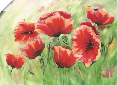 Produktbild von ARTland Poster Rote Mohnblumen II Größe: 100x70 cm