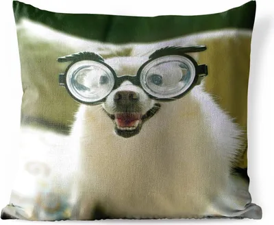 Produktbild von MuchoWow® Outdoor Kissen - Tier - Hund - Schutzbrille - 60x60 cm - Wetterfest - Lounge Kissen - Dekoration - Schlaf Kissen