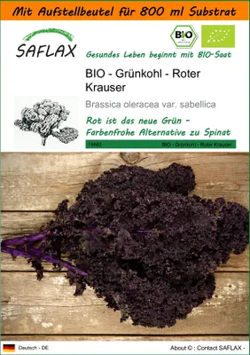 Produktbild von SAFLAX - Garden in the Bag - BIO - Grünkohl - Roter Krauser - 50 Samen - Mit Anzuchtsubstrat im praktischen, selbst aufstellenden Beutel - Brassica oleracea