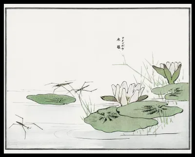 Image de Affiche 50 x 40 cm Nartniki dans l'étang Morimoto Japonais Vintage pour le salon