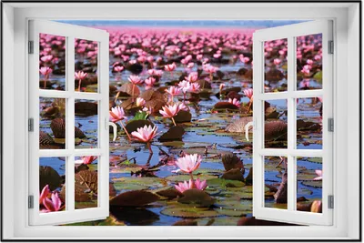 Produktbild von Wallario Wandbild mit Fenster-Illusion: Seerosenlandschaft mit rosa Blüten, Größe: 61 x 91,5 cm, Poster mit schwarzem Aluminiumrahmen