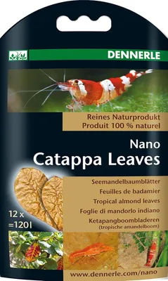 Image de Dennerle Nano Catappa Leaves, Brown, Fresh Water (Feuilles de cataplasme brunes)