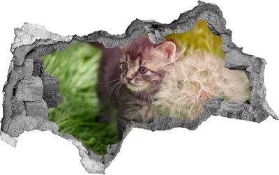 Produktbild von Selbstklebender Loch-3D-Aufkleber 95x73 cm Kitten mit Löwenzahn