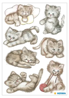 Produktbild von Herma Decorative label DECOR sweet cat 3 sheets