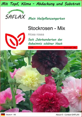 Produktbild von SAFLAX Garden to go - Stockrosen - Mix - Alcea rosea - 100 Samen - Mit Topf, Klima - Deckel und Anzuchtsubstrat