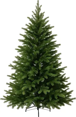 Image de Sapin de Noël VIVANNO en polyéthylène NORDMANN 180, forme arrondie, vert naturel - 127 x 180 cm