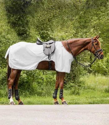 Productafbeelding van Vliegenuitrijdeken - Paardendeken Vliegen - Paardrijden Bescherming - Fijnmazig Weefsel - 135 cm - Grijs