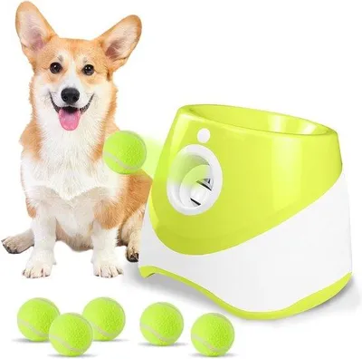 Produktbild von Famanu Tennisballenwerfer für Hunde - Automatische Ballenwerfmachine