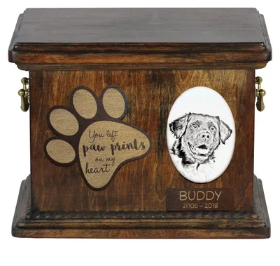 Produktbild von Stabyhoun,  Friesischer Vorstehhund, Stabijhoun - Hund Ascheurne, personalisierte Ascheurne mit Foto, Hund Ascheurne von der Marke Art-Dog