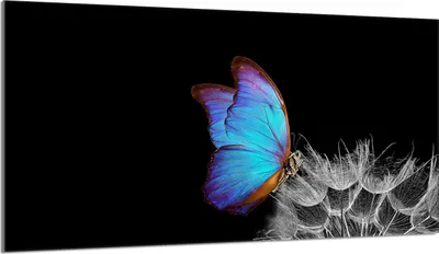 Produktbild von Glasschutzplatte für den Herd 90x52 Butterfly