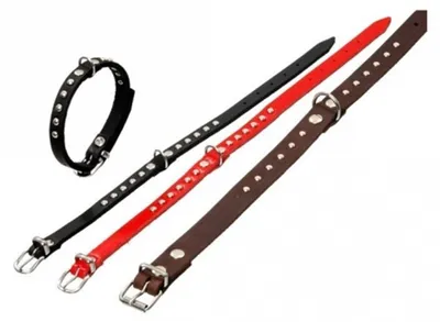 Produktbild von Karlie RONDO Halsband mit Ziernieten - Schwarz - 52cm / 20mm