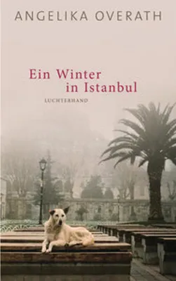 Immagine prodotto di Ein Winter in Istanbul