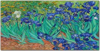 Produktbild von Coloray - Bild aus Glas - 120x60 cm - gehärtetes Glas glasblock mit bild Küche wohnzimmer wanddekoration Dekoration - Van Gogh Iris