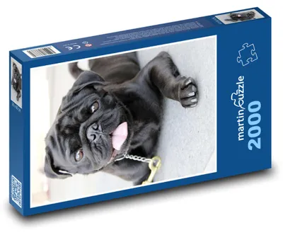 Obrázek produktu pro martinpuzzle - Puzzle 2000 - Černý mops - pes