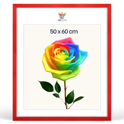 Produktbild von MG Design Bilderrahmen 50 x 60 cm - Posterrahmen mit Rot Holzrahmen (Echtholz) und bruchsicherem Acrylglas, Hoch & Quer mit stabiler Wandaufhängung