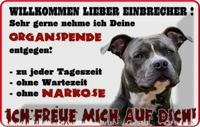 Produktbild von vianmo Blechschild 20x30 cm Hund Willkommen Einbrecher Tier Haustier