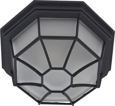Produktbild von Lindby Außendeckenleuchte Idril, anthrazit, Metall, Ø 26,5cm