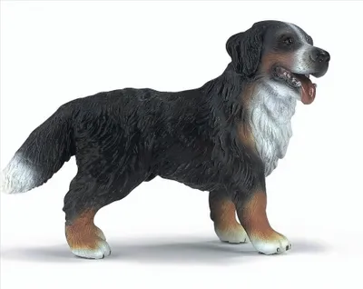 Produktbild von Schleich 16339 Berner Sennenhund, stehend