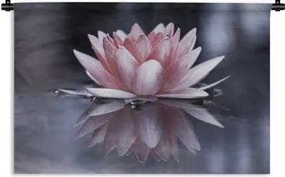 Produktbild von MuchoWow® Wandteppich Wandbehang Rosa Blume im Wasser 120x80 cm Tapisserie Dekoration Wandtuch - Wanddekorationen - Wandtücher