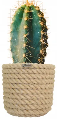 Produktbild von Kerd BOHO15/200 Dekorativer Blumentopf Jute Boho-Stil
