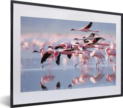 Produktbild von MuchoWow® MuchoWow® Gerahmtes Poster Rosa Flamingos auf dem Wasser 40x30 cm - Poster mit zchwarzem Bilderrahmen - Bilderrahmen - Poster im Rahmen