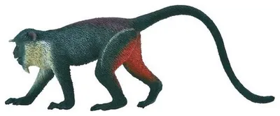 Produktbild von Collecta Wildtiere Diana AAP 11,2 x 4,1 cm