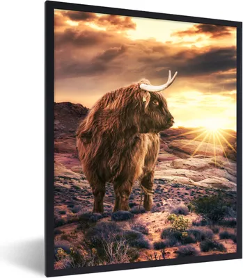 Produktbild von MuchoWow® Gerahmtes Poster Schottische Highlander - Sonne - Landschaft 60x80 cm - Poster mit Schwarzem Bilderrahmen Wandposter Rahmen Foto Bilder - Premium - Wanddeko Wohnzimmer
