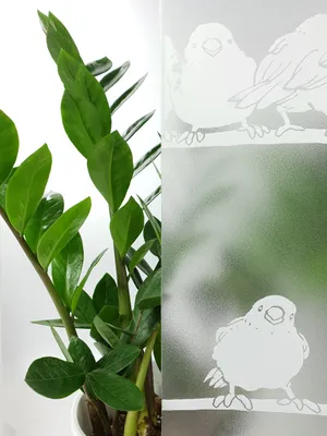 Produktbild von Statisch Fensterfolie 45x50 cm - Spatzen - Sichtschutzfolie Fenster Milchglasfolie statisch haftend - Folie Fenster für Bad und Büro - Sichtschutz erhalten
