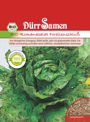 Produktbild von Romanasalat Forellenschluß |  Romanasalatsamen von Dürr Samen