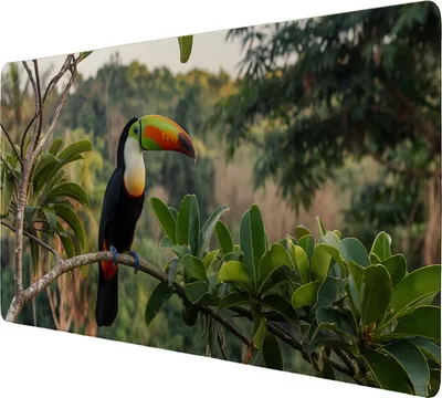 Produktbild von Tukan im Dschungel Schreibtischunterlage 89x40cm XXL Mauspad - Exotisches