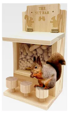 Produktbild von Eichhörnchen-Futterstation – 3 Hocker, Nussstange, Futterspender für Garten, Hof, Terrasse