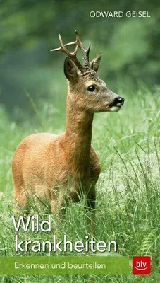 Produktbild von Wildkrankheiten