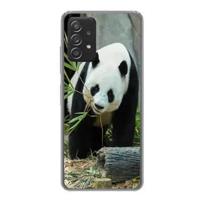 Produktbild von MuchoWow® Handyhülle Schutzhülle Hülle für Samsung Galaxy A53 5G Panda - Baumstamm - Höhle Silikon Softcase Handy Hülle - Schutzabdeckung