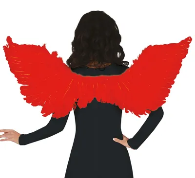 Image de Ailes d'ange Noël Accessoires de fête Idées de costumes de rêve Accessoires célestes Célébration Inspiration Blanc Plumes Élégance, Couleur : Rouge
